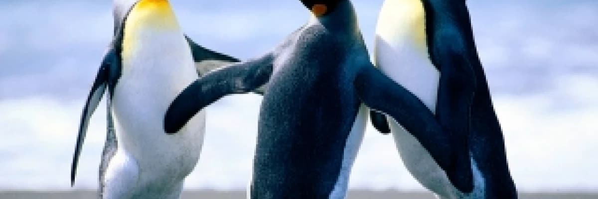 İlişkilerde mutluluğun formülü-2