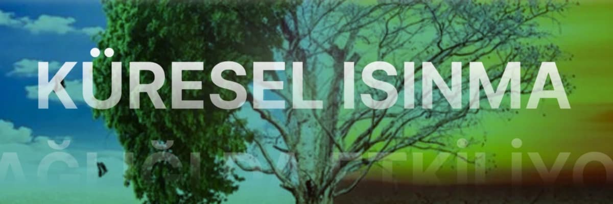 KÜRESEL ISINMA SAĞLIĞI DA ETKİLİYOR