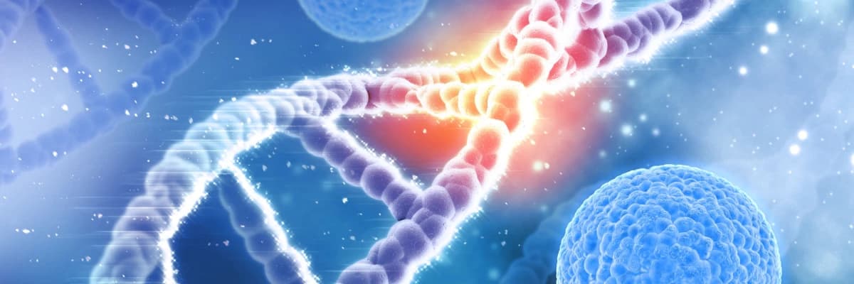 2020 yılında 10 milyon kişi bu hastalık nedeniyle hayatını kaybetti ?