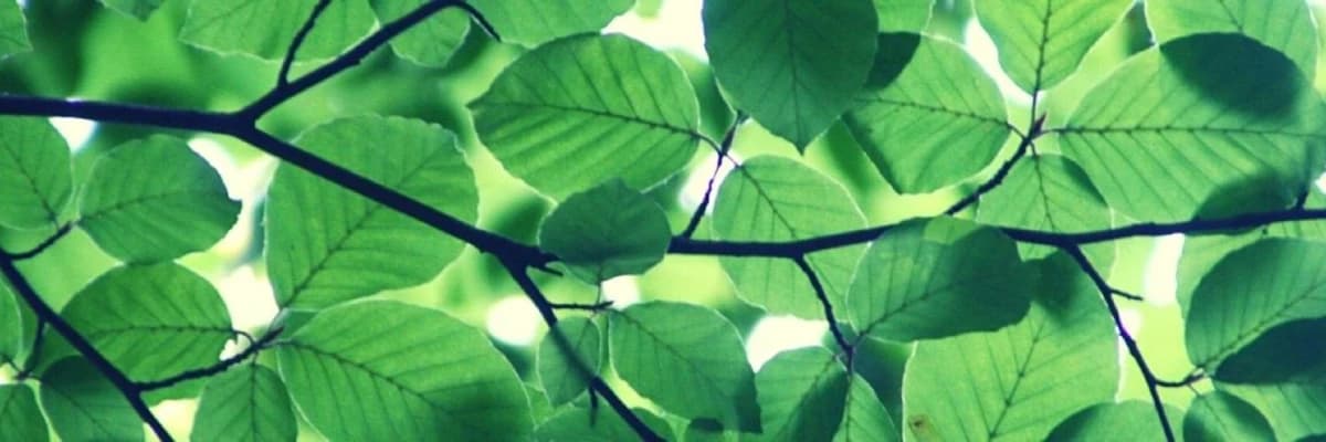 Boşanma Süreci ve Boşanma Çocuğa Nasıl Söylenilmeli