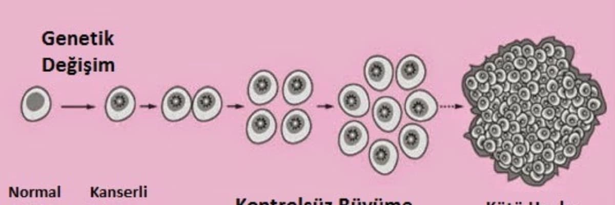 KANSER AMELİYATI CERRAHİSİ NEDİR ?