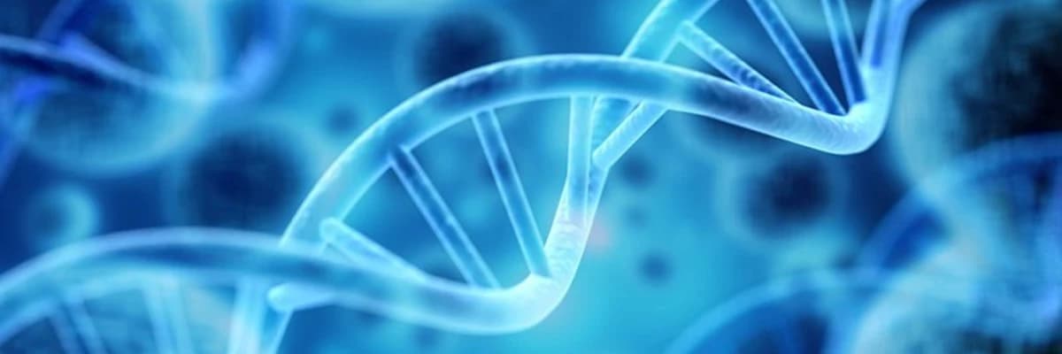 Prokain Baz İnfüzyonu Nedir?