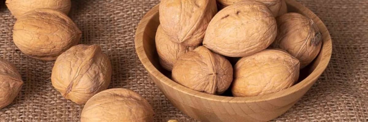 Kuruyemişlerin Başrol Oyuncusu: CEVİZ