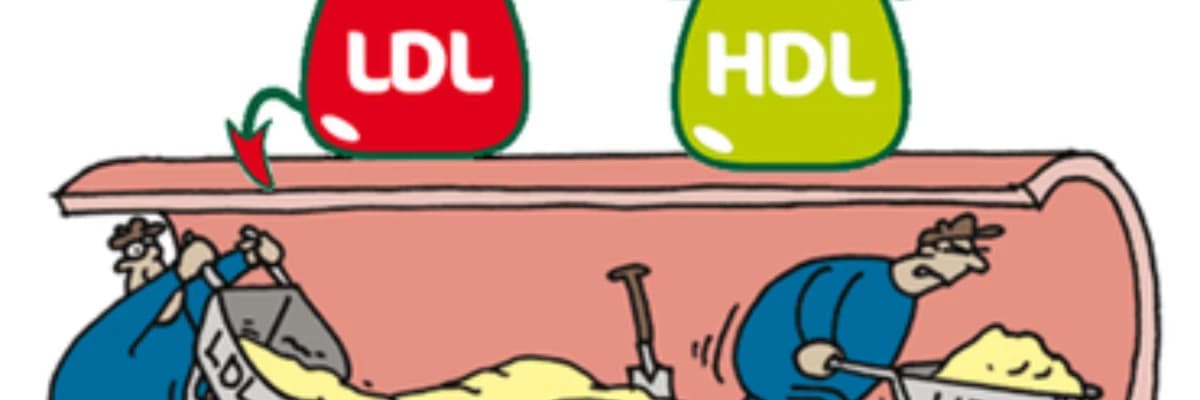 Kolesterol ve Beslenme