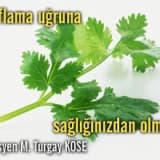 Zayıflama uğruna sağlığınızdan olmayın