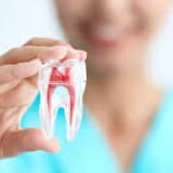 Diş Çürüğü Neden Olur, Nasıl Tedavi Edilir?