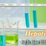 Hepatit b
