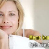 Meme kanseri!