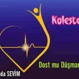 Kolesterol:dost mu düşman mı ?