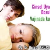 Cinsel uyarılma bozukluğu sebepleri- vajinada kuruluk