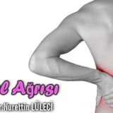 Bel ağrısı / diskojenik ağrı