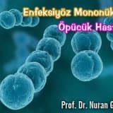 Enfeksiyöz Mononükleoz Öpücük Hastalığı