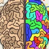 Esnek Zihin, Sağlam Ruh: Belirsizliğin İçinden Geçebilmek