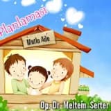 Aile planlaması ( doğum kontrolü)