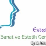 Estetik, Sanat ve Estetik Cerrahi