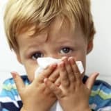 Alerjik Nezle(Rinit) / Saman Nezlesi Nedir ? Nasıl Tanı Konur ? Nasıl Tedavi Edilir ?