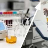 Platelet-rich plasma: from laboratory to the clinic