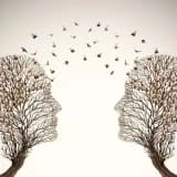 İlişki ve Psikoterapi Üzerine