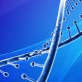 Gelecek nesil tarama (NGS) nedir?