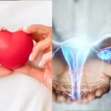 Kadın Hastalıkları