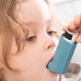 Astım: Fark Edilmeyen Alerjinin Son Durağı