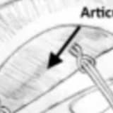 Arthroscopic knotless separate layer transosseous equivalent repair of delaminated rotator cuff tears