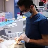 Dt. Ahmet Emin Tosunoğlu