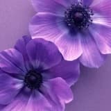 Dyt. Hacer Can Profil Fotoğrafı