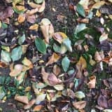 Dyt. Nuray Aytan Akca Profil Fotoğrafı