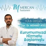 Op. Dr. Mehmet Ateş