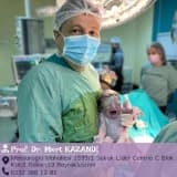 Prof. Dr. Mert Kazandı Profil Fotoğrafı