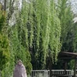 Aile Danışmanı Meryem Kurt Profil Fotoğrafı