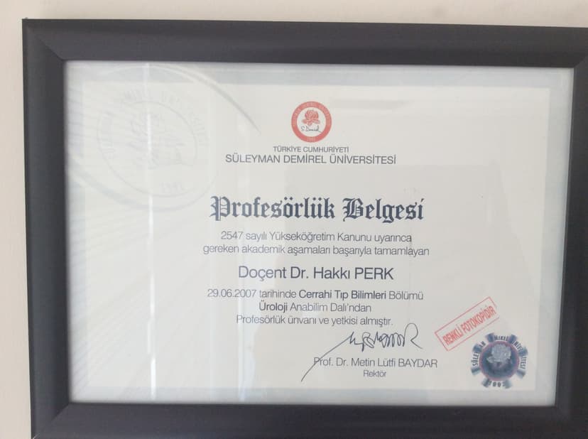 Profesörlük Belgesi
