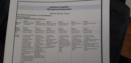 Şema Terapi Sertifikası