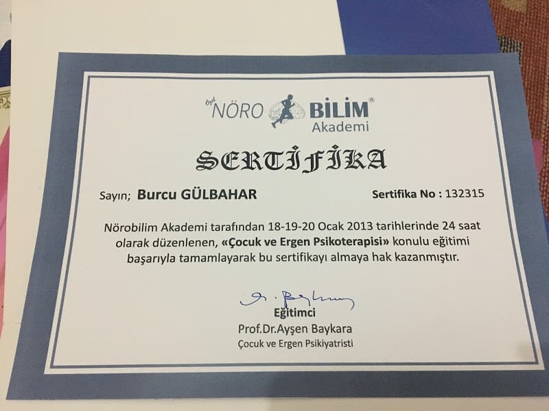 Çocuk Ve Ergen Psikoterapisi Eğitimi