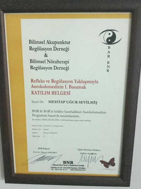 Refleks ve Regülasyon Yaklaşımıyla Aurokulomedizin 1. Basamak Katılım Belgesi