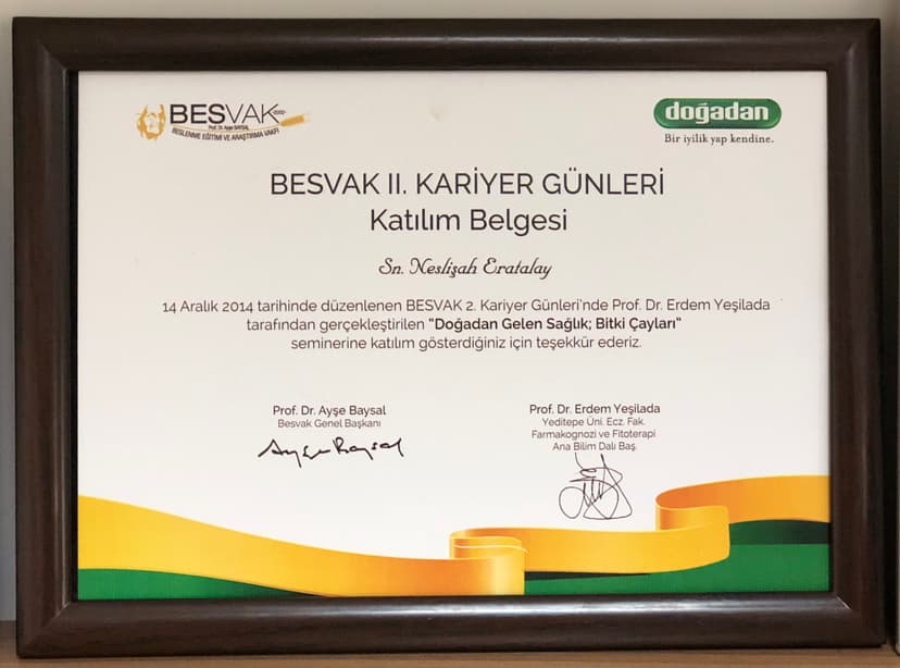 Besvak 2.Kariyer Günleri Besvak- Yeditepe Üniversitesi - 12.2014