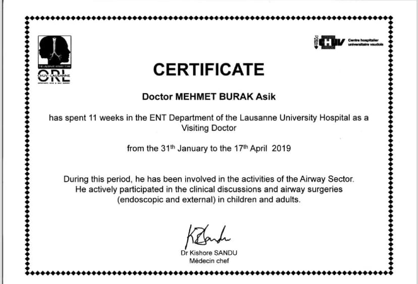 Fellowship Lausanne İsviçre