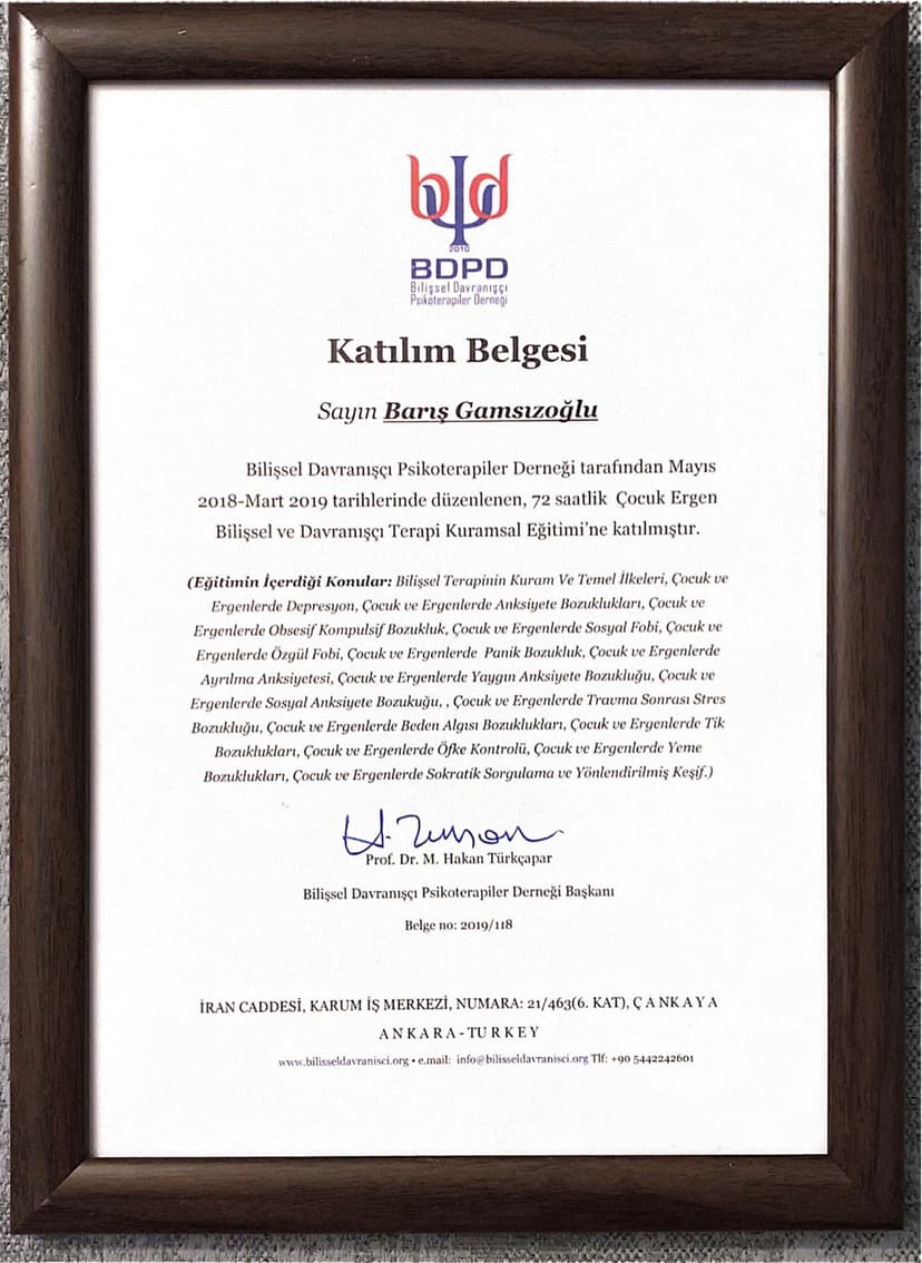 Çocuk ve Ergenlerde Bilişsel Davranışçı Terapi