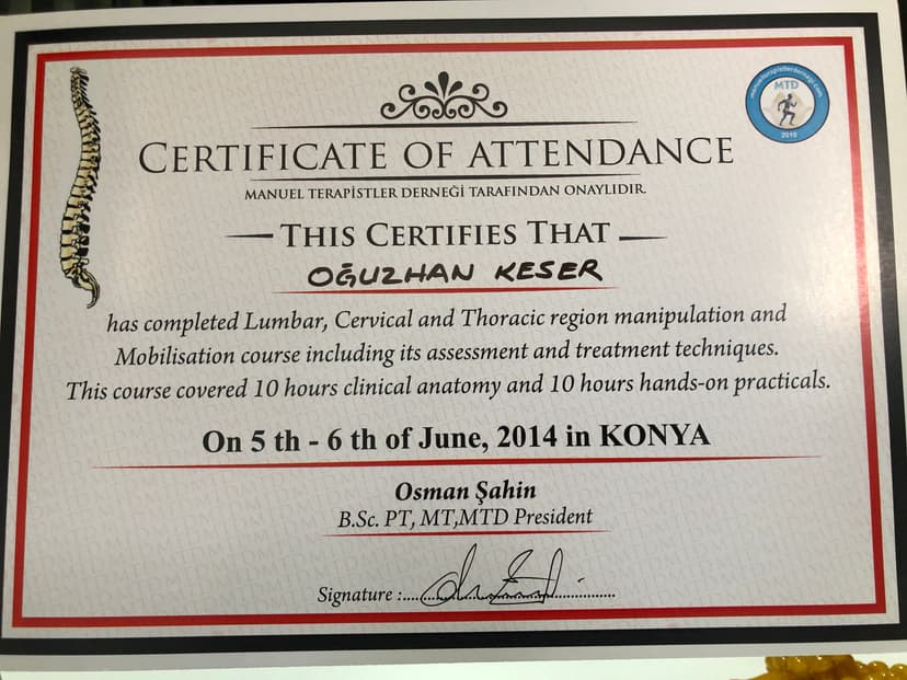 Manipülasyon-mobilizasyon