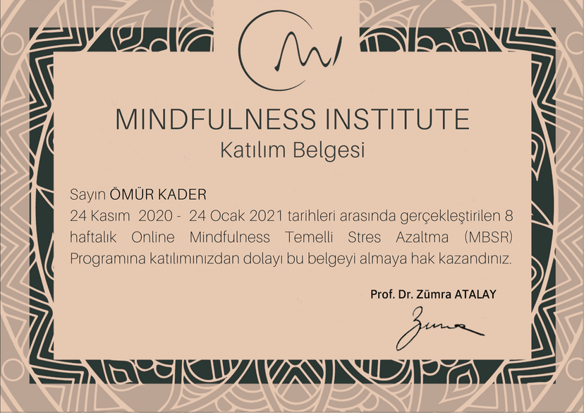 Mindfulness